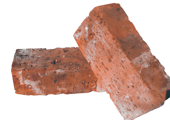 Solid_B_NFP_edited-removebg-preview